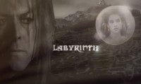 Labyrinth I Move The Star