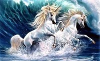 Unicorns In Waves