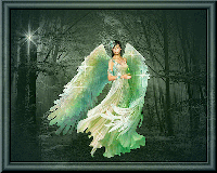 Angel In The Forest