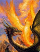 Pheonix Vs Dragon