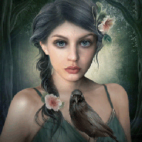 Bird Fairy