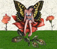 Butterfly Rose Fairy