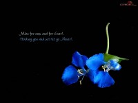 black n blue flower