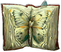 Butterfly Book