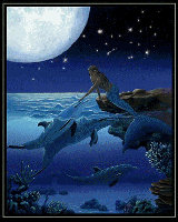 Mermaid With Dolphin