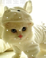 Cute Cat In Pajamas