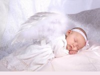 Baby Angel