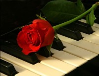 Piano & Flowers (Music)