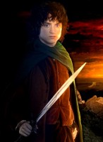 Frodo The Warrior