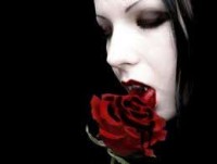 Vamp Rose
