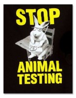 animal testing stop