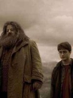 Hagrid/Harry