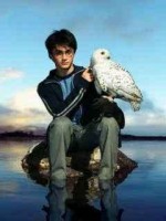 Harry/Hedwig