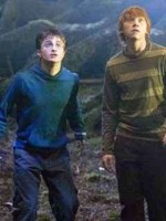 Harry/Ron