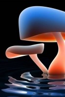 2-3D-Mushrooms