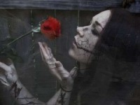 Gothic Rose 02