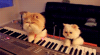 Cats Piano