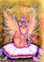 Fairy Cat
