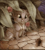 Kitten In The Rain