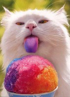 Cat & Rainbow Ice Cream