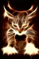 Flame Cat