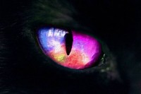 Rainbow Cats Eye