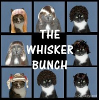 The Whiskers Bunch