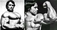 Arnold''s muscular boby