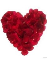 Rose petalz heart