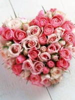 Love10 Rose