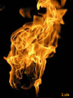 Fire Animation 5