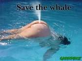 Whale lol