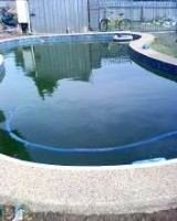 My green pool