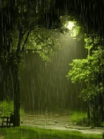 Raining night