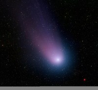 Comet nea