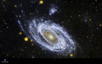 Spiral galaxy M81