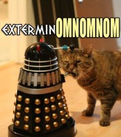 Doctor Who Cat