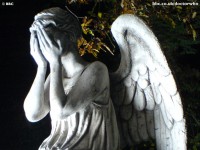 Weeping Angel 2