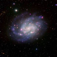 Spiral Galaxy
