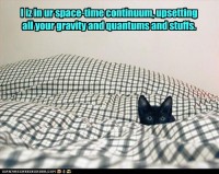 Cat Upsets Your Gravity