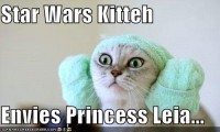 Star Wars Kitty