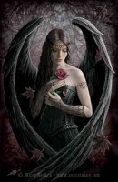 Angel Rose