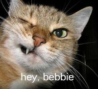 Hey, bebbie