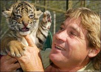 animal-lover Steve Irwin