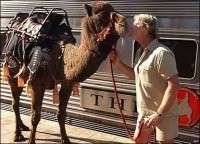 Steve with camel