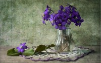 Purple-Violet-Flowers