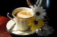 coffee cup flowers