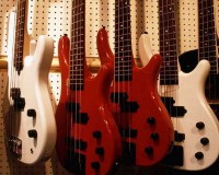 Bass Guitars