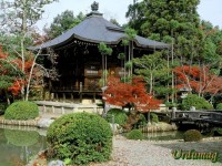 Seiryoji Temple_ Kyoto_ J