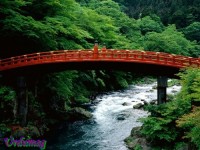 The Sacred Bridge_ Daiya 